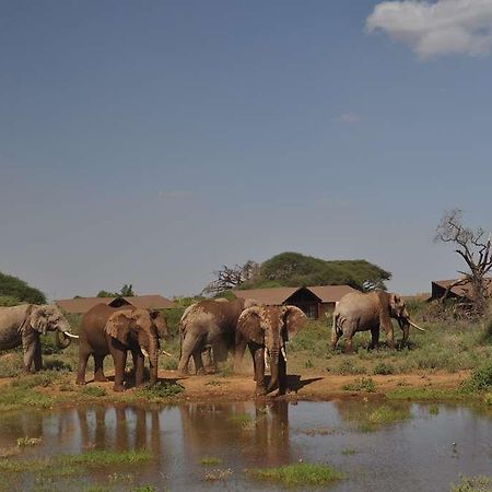 Kilima Safari Camp Otel Oloitokitok Dış mekan fotoğraf